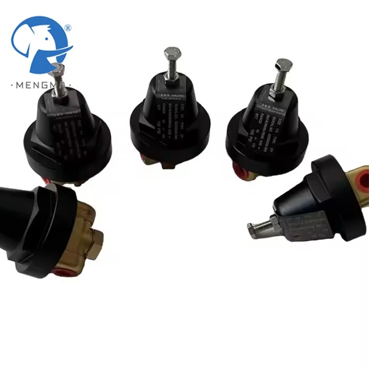 High Quality Air Compressor Parts Replacement Pressure Reducing Valve 02250046-568